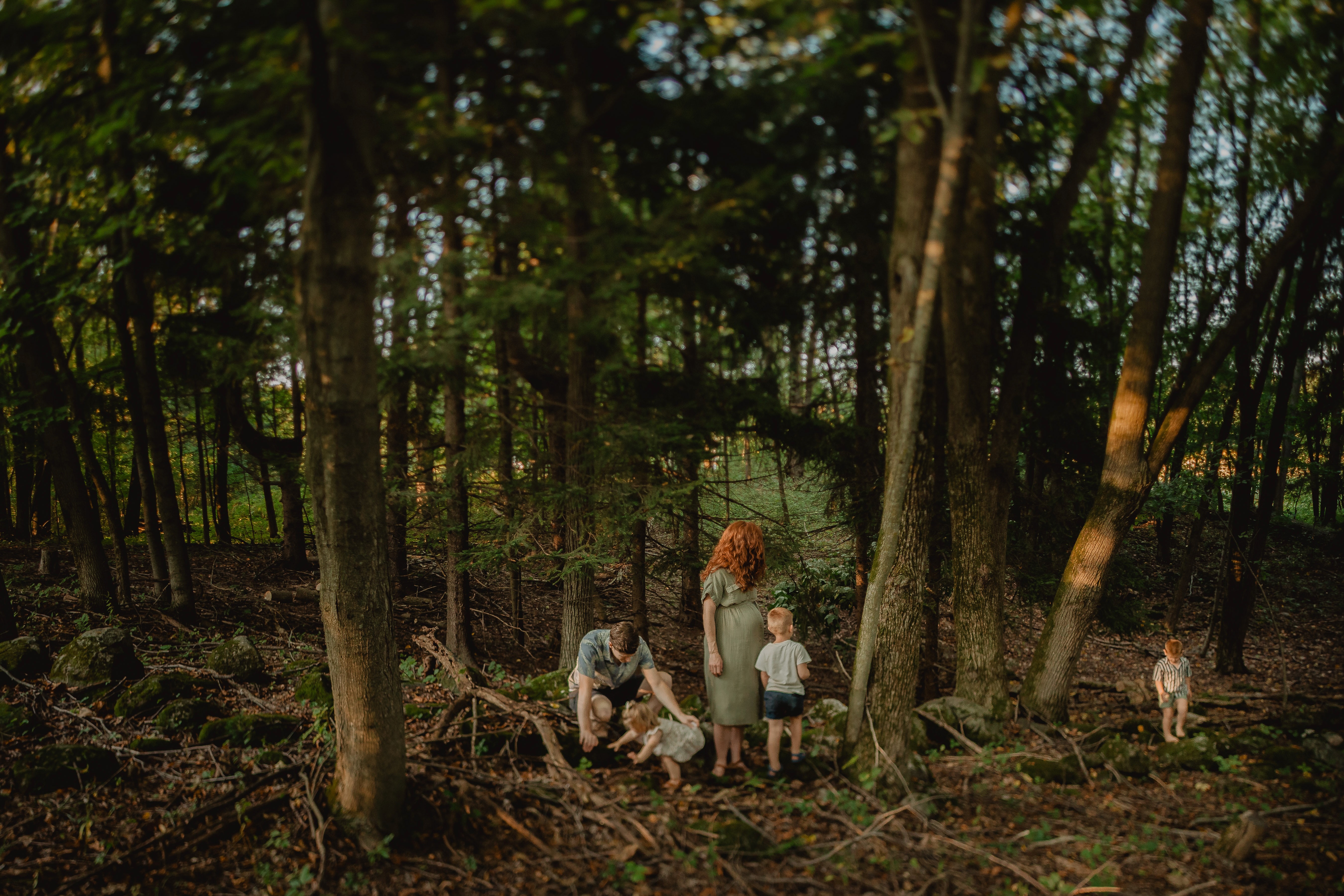Family walking through a sunlit forest